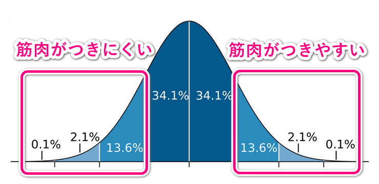 筋肉の付きやすさのベルカーブ（正規分布）