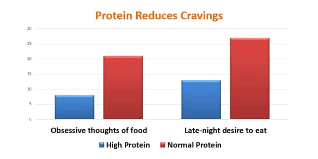 プロテインが食欲を抑制するという調査結果