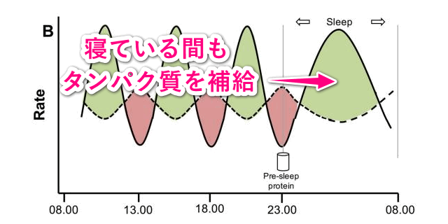 就寝前にカゼインを飲んでタンパク質を補給