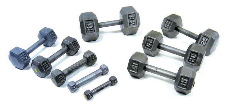 固定式ダンベル（Fixed-weight Dumbells）の画像